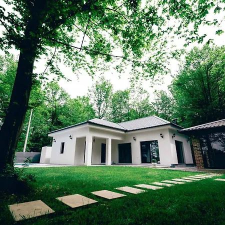 Vila Vikendica Slatina Md *