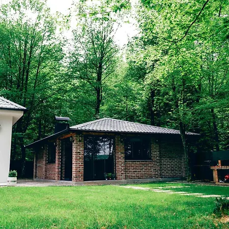 Villa Vikendica Slatina Md